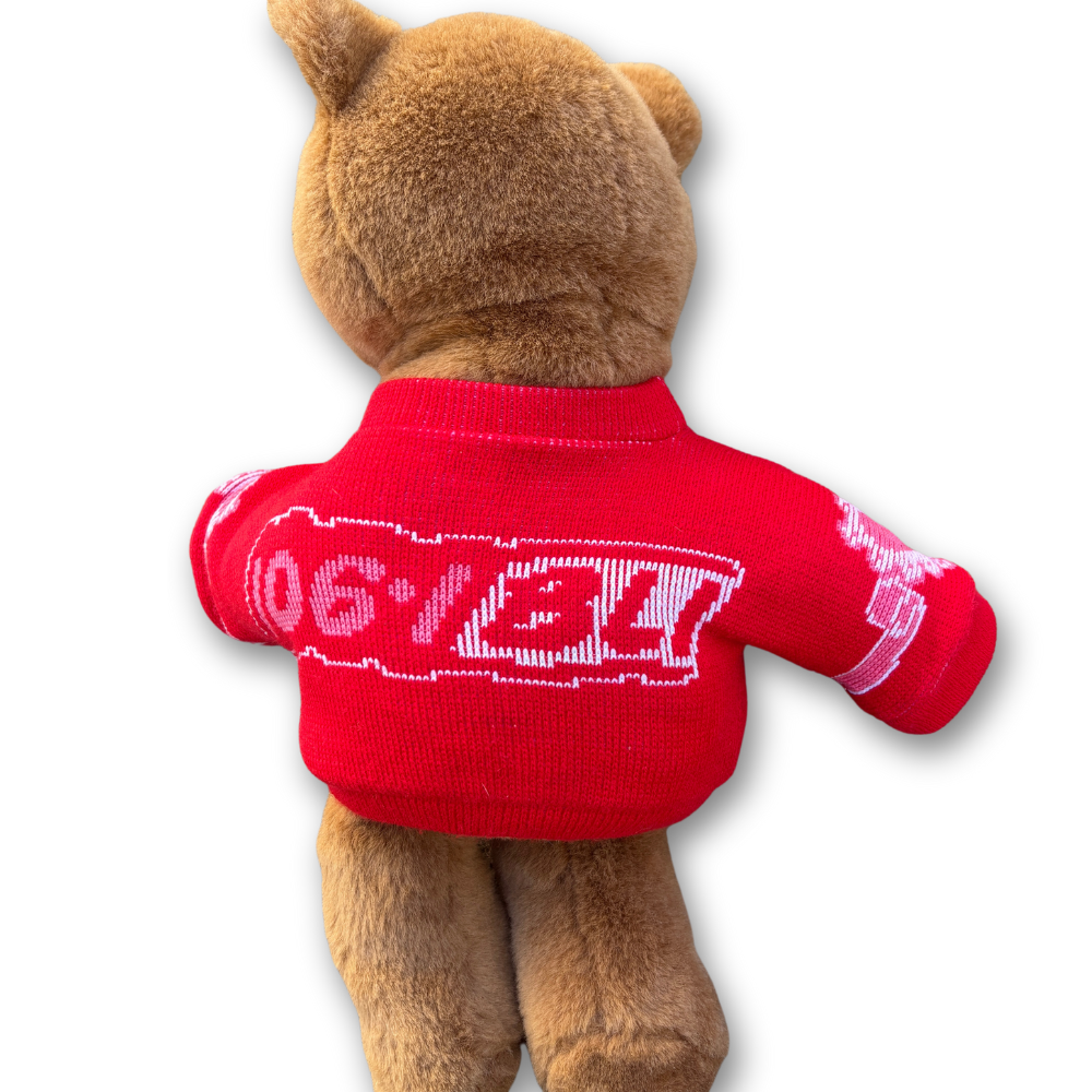 106.1 BLI Radio Station V-Day Plush Bear Vtg