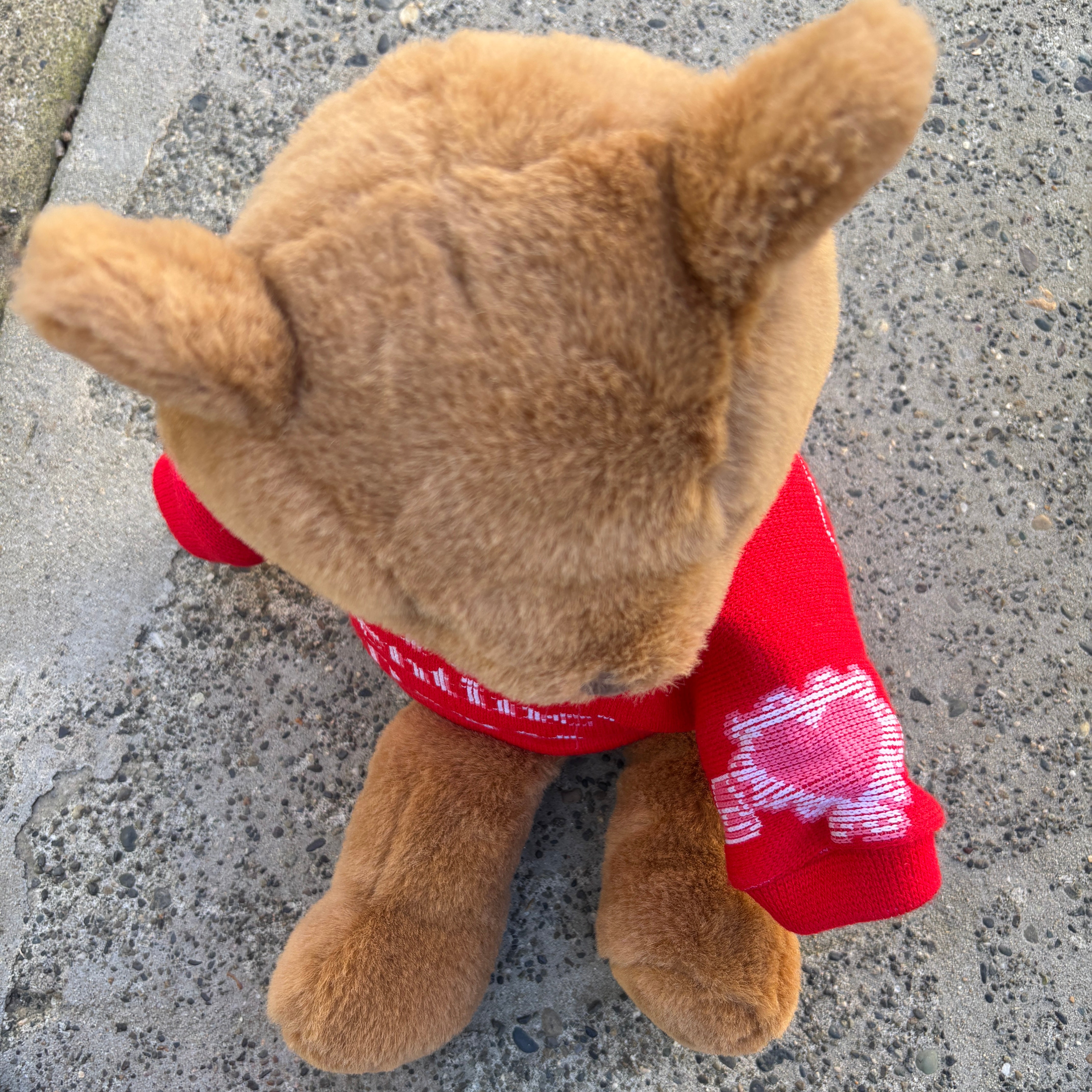106.1 BLI Radio Station V-Day Plush Bear Vtg