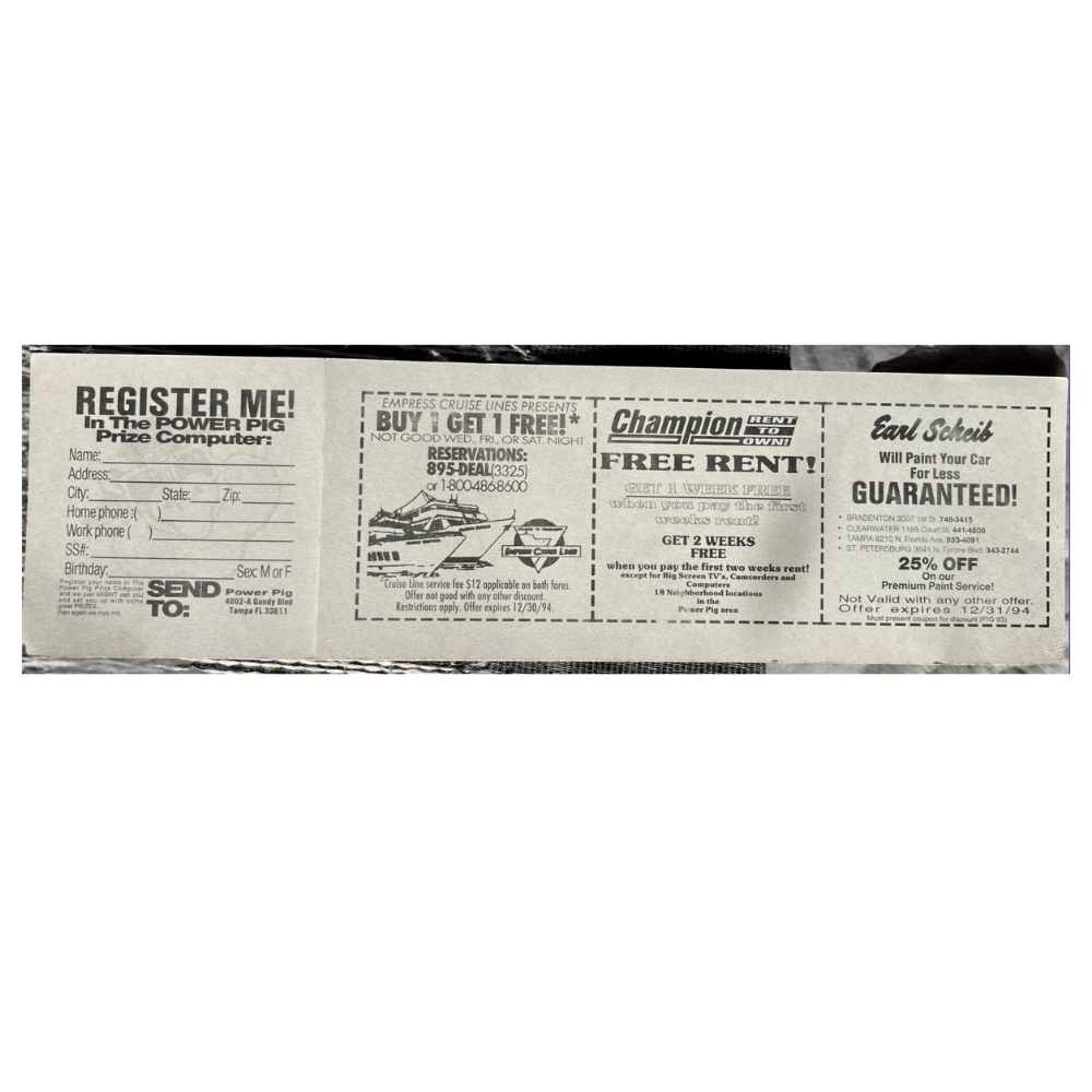 93.3 WFLZ The Power Pig Sticker VTG