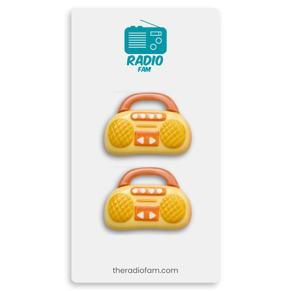 Colorful Radio Magnets (2-Pack)