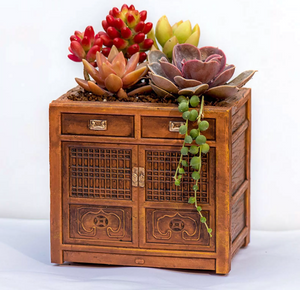 Cabinet Radio Succulent Planter