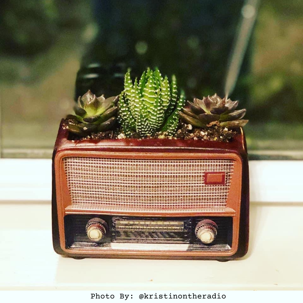 desktop succulent planter Retro Radio Succulent Container Home Office Desktop Decor Planter