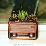 Retro Radio Succulent Container Home Office Desktop Decor Planter