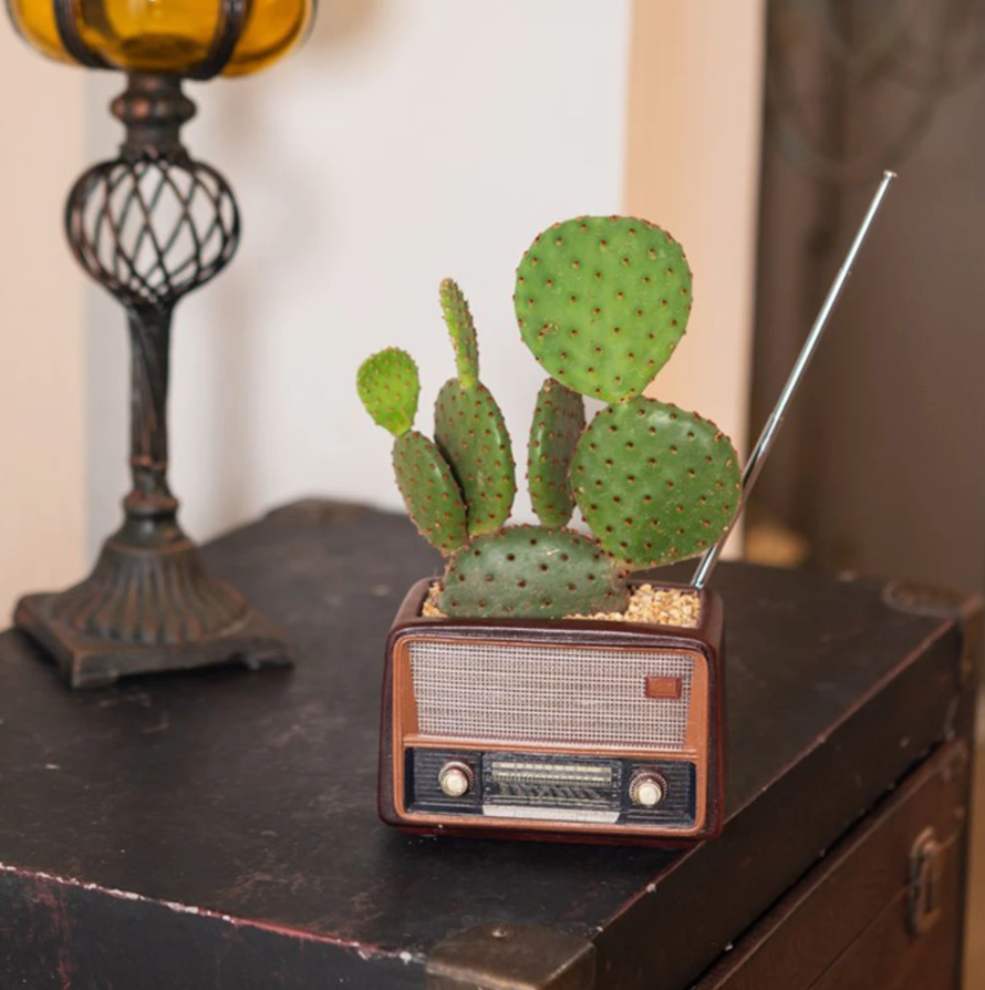 Retro Radio Succulent Container Home Office Desktop Decor Planter